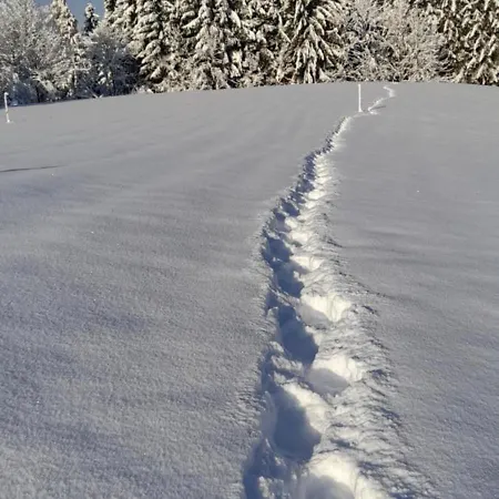 Alpenschlössl Apartment