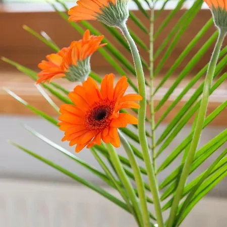 Alpenschloessl דירה