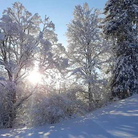 דירה Alpenschloessl *