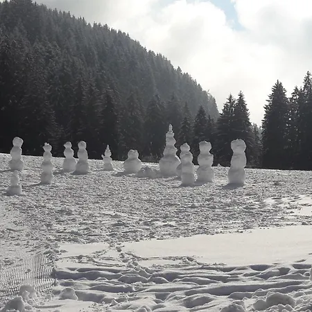 דירה Alpenschloessl